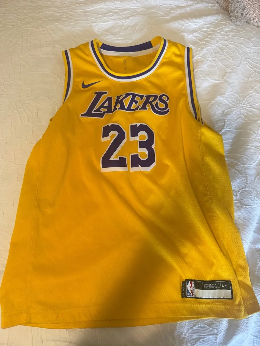 Nike Lakers Lebron Jersey
